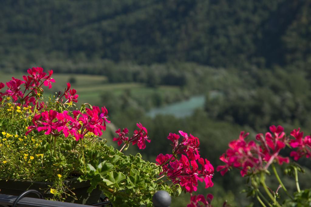 B&B Ca' La Vedescia Teglio Extérieur photo
